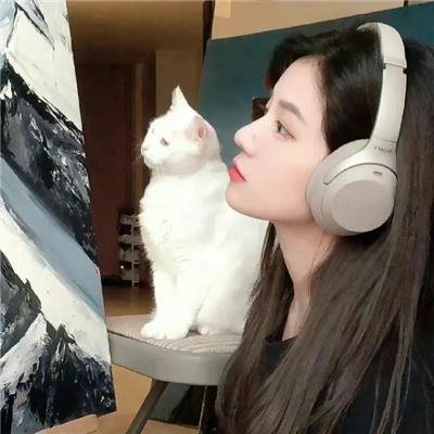 龙城小仵作