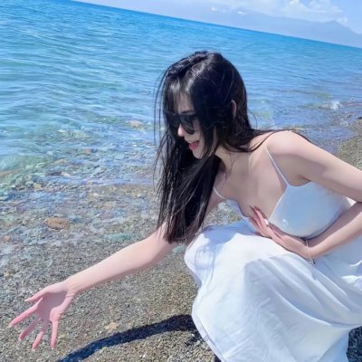 完美伴侣