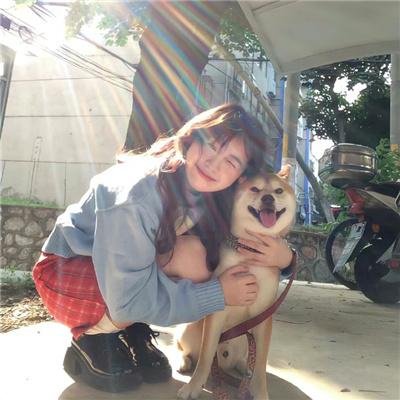 派特森与芬达猫4